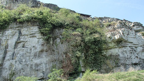 WANZE (Rocher du Château de Moha)