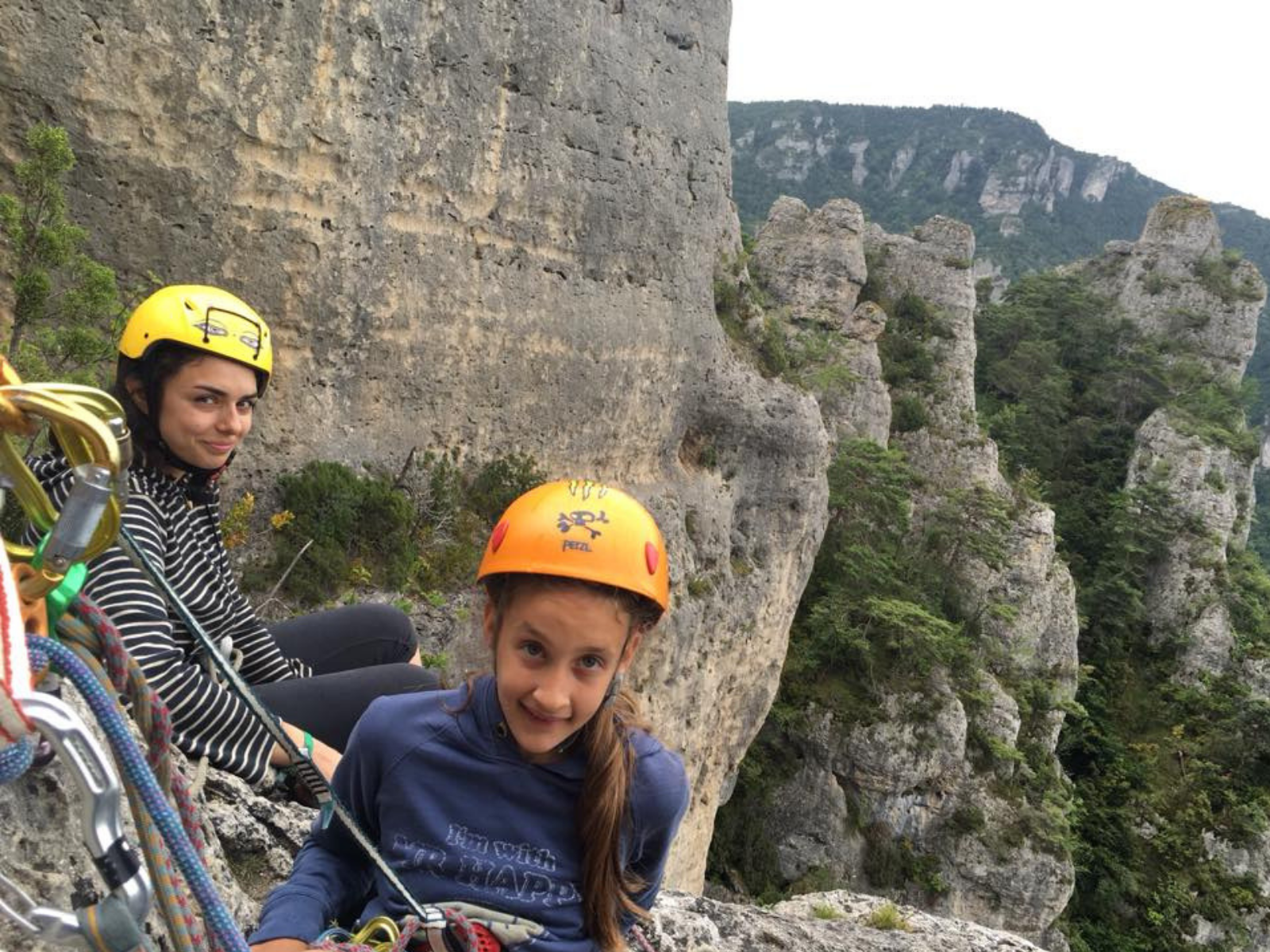 Brussels Monkeys Climbing