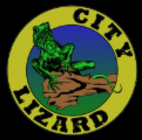 CITY LIZARD